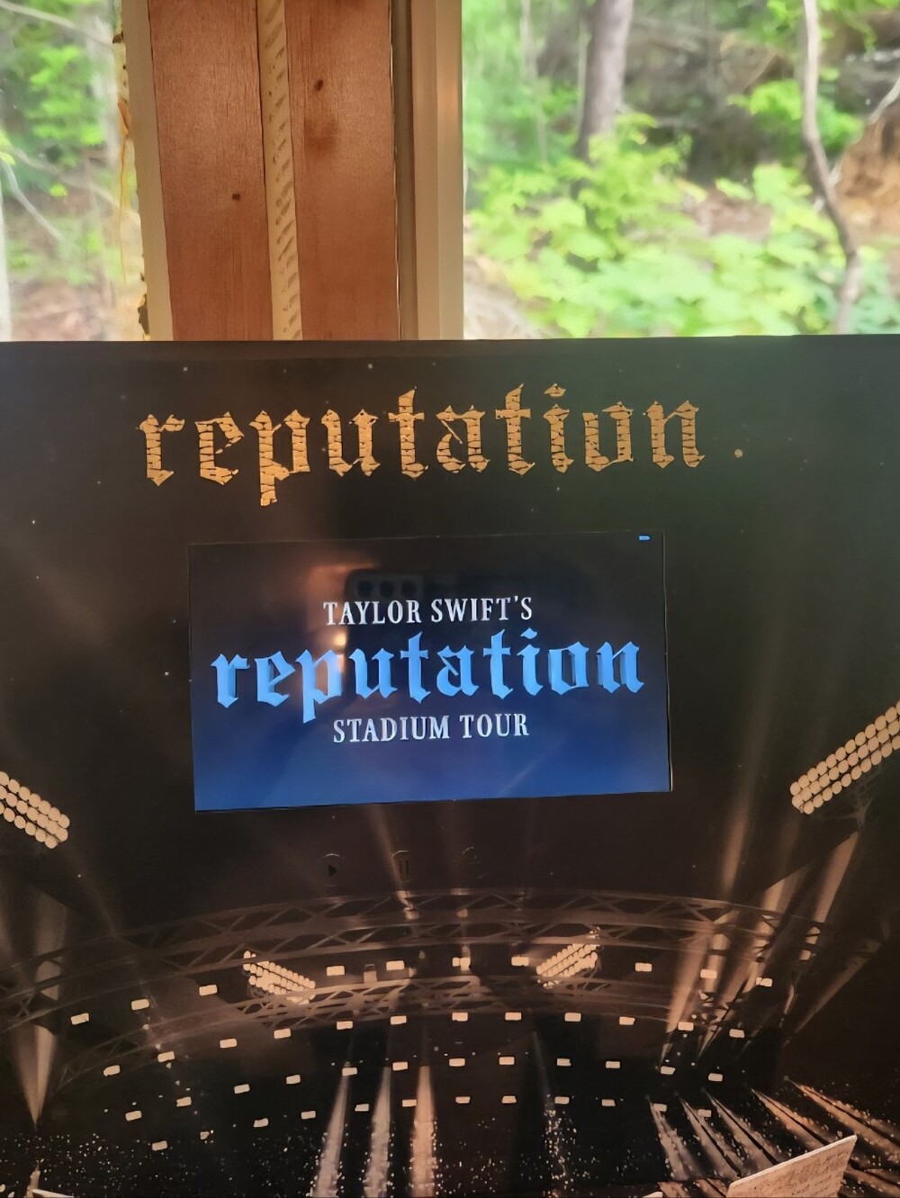 Taylor Swift VIP Reputation Box - Picture 2 of 7